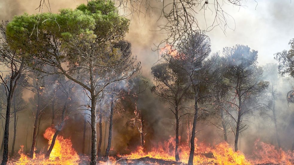 Rauch und Feinstaub aus Waldbränden verunreinigen auch noch in weiter Entfernung Foto: Eduardo Sanz/EUROPA PRESS/dpa