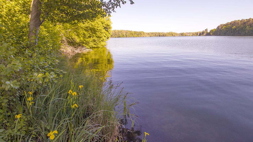 Der Wurlsee in der 7-Seen-Stadt Lychen ist einer von über 500 Seen in der Uckermark. Foto: Ekkehart Eichler