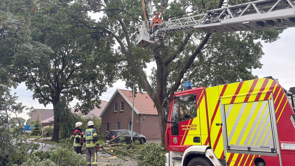 Aurich die Auricher Feuerwehr war am Wochenende im Einsatz. Im Rettungskorb der Drehleiter arbeitete ein Kettensägenführer an der Beseitigung eines Sturmschadens. Foto: Sönke Geiken/Feuerwehr Aurich