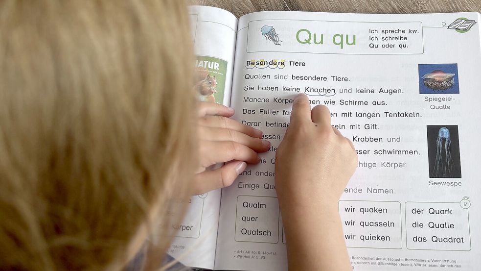 Ein Kind liest in der Fibel einen Text. Immer mehr Kinder benötigen zu Beginn ihrer Schulzeit Unterstützung. Foto: Christin Wetzel