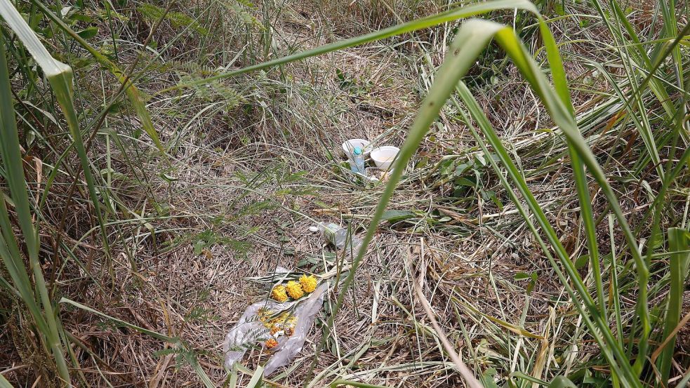 Blumen liegen am Fundort des Koffers. Foto: Dario Pignatelli