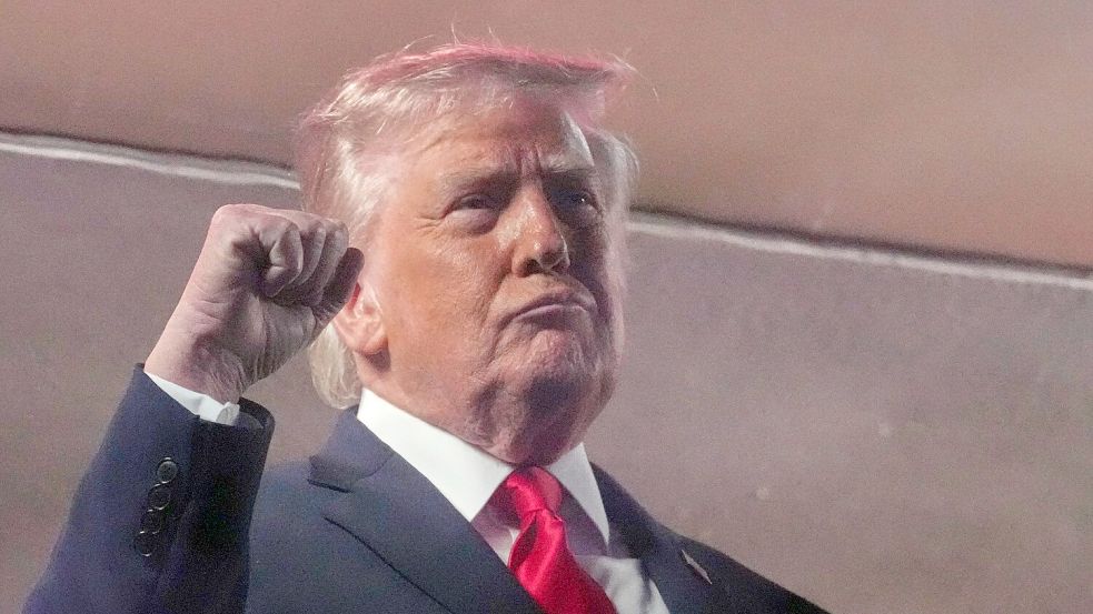Durch den offenen Angriff auf demokratische Institutionen markiert die zweite Amtszeit von Donald Trump schon jetzt eine Zäsur in der amerikanischen Geschichte wie auch im deutsch-amerikanischen Verhältnis (Archivbild). Foto: Mark Schiefelbein