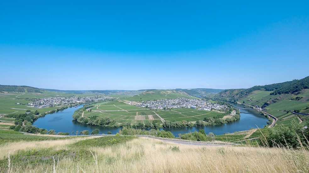Vorerst ist der Himmel strahlend blau über der Mosel und den angrenzenden Weinbergen bei Trittenheim in Rheinland-Pfalz. Foto: Harald Tittel