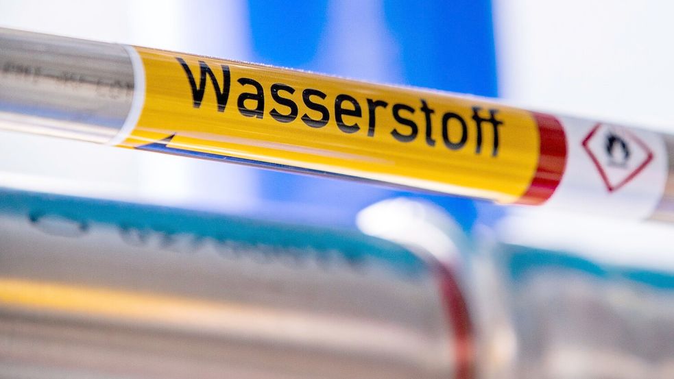 Airbus und MTU wollen einen Wasserstoffantrieb für Flugzeuge entwickeln. (Symbolbild) Foto: Jens Büttner