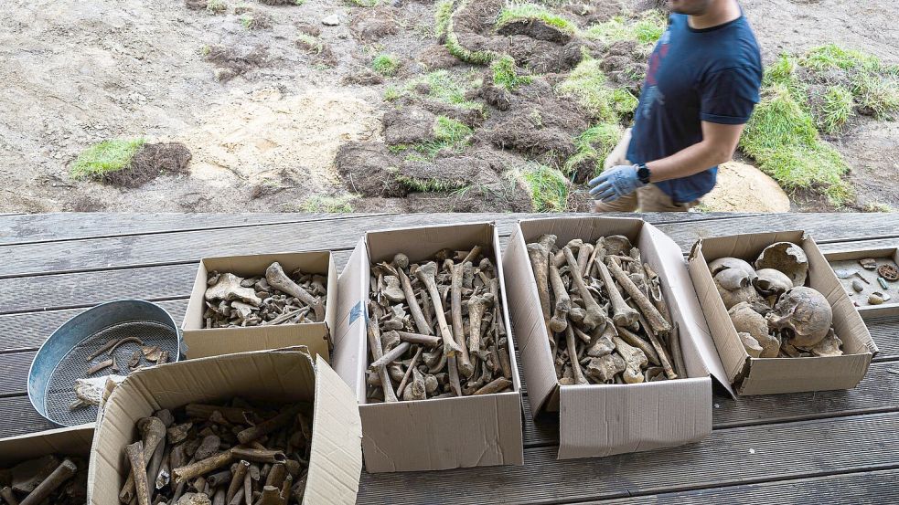 Kistenweise Knochen wurden in dem Garten entdeckt. Foto: Moritz Frankenberg