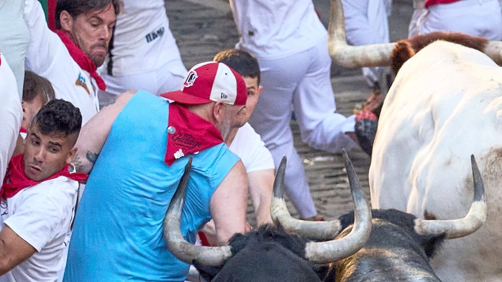 Auf Tuchfühlung mit dem Tod: Die spitzen und langen Hörner der Kampfstiere können den Läufern bei den Stierhatzen während des ebenso berühmten wie umstrittenen San-Fermín-Festes im nordspanischen Pamplona lebensgefährliche Verletzungen zufügen. Foto: Miguel Oses