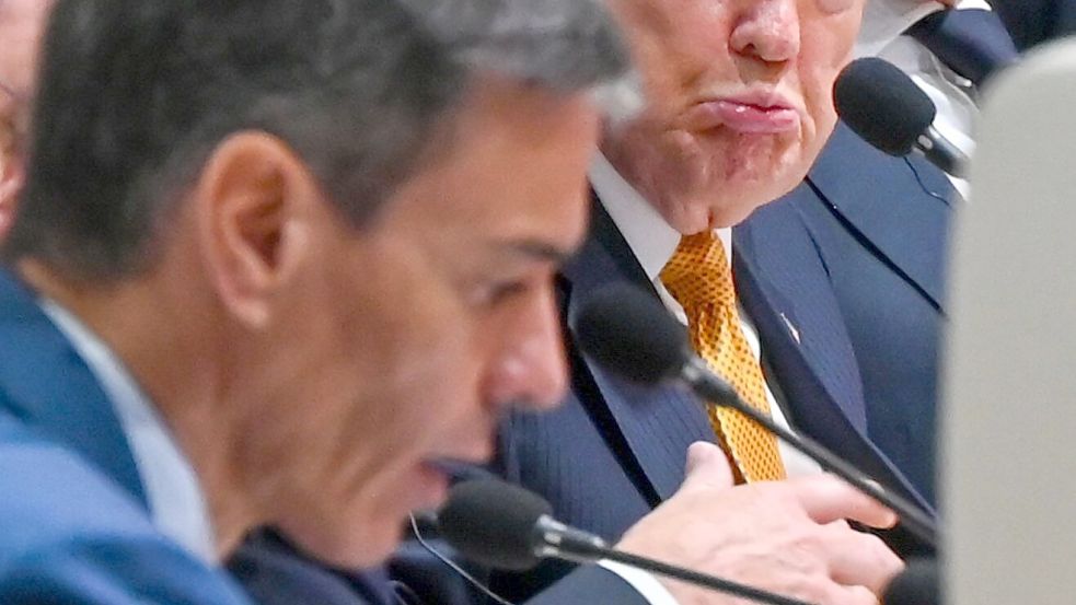 Zustimmung sieht anders aus: US-Präsident Donald Trump schaut skeptisch, während Spaniens Regierungschef Pedro Sánchez auf dem Nato-Gipfel in Ankara spricht. Foto: Ansgar Haase