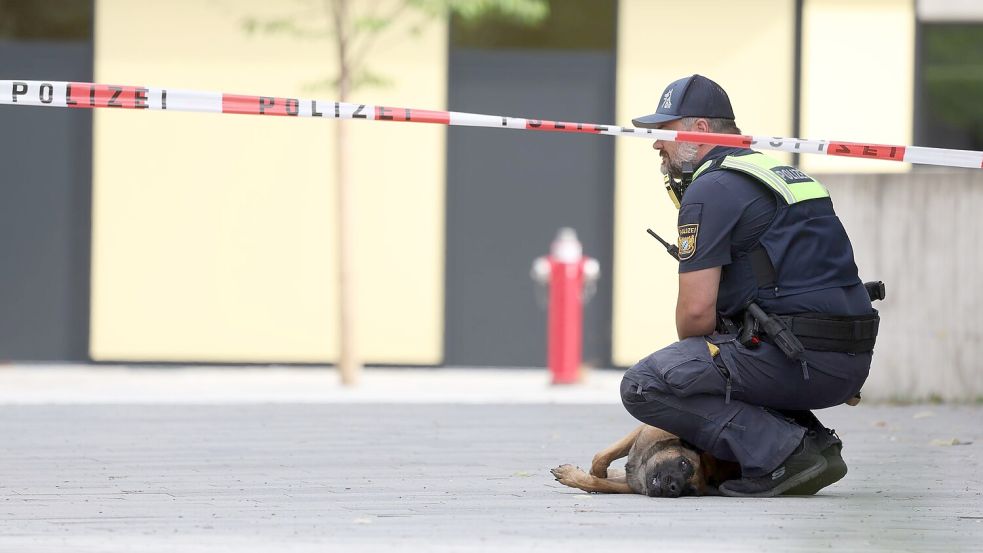 Das Gelände wurde abgesucht. Foto: Karl-Josef Hildenbrand/dpa