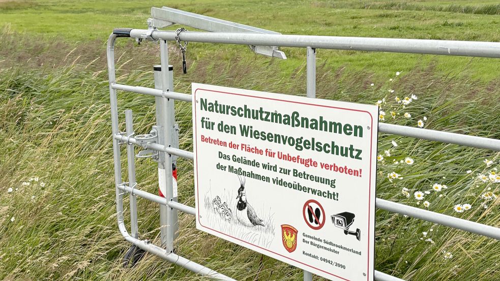 Am Punger Weg in den Engerhafer Meeden liegen Ausgleichsflächen für den Bau der Zentralklinik. Foto: Aiko Recke