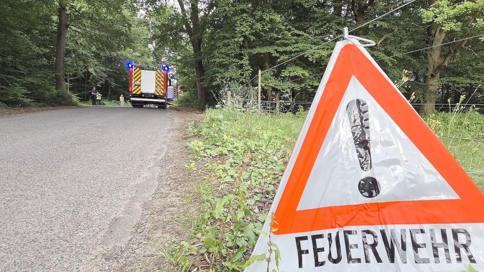 Die Gefahr von Waldbränden nimmt in Deutschland wieder zu. (Symbolbild) Foto: str