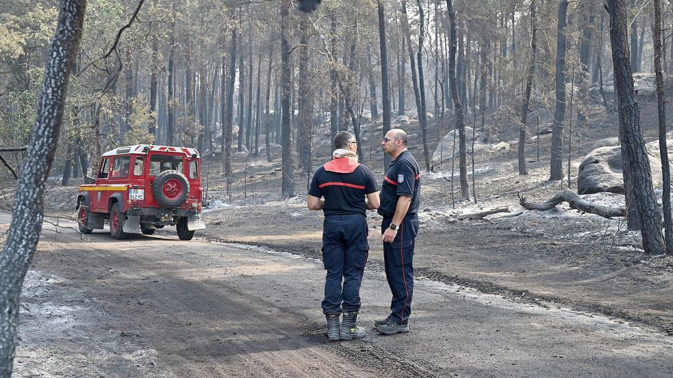 Ein freiwilliger Feuerwehrmann hat eingeräumt, im Wald von Fontainebleau Feuer gelegt zu haben. Foto: Emma Da Silva