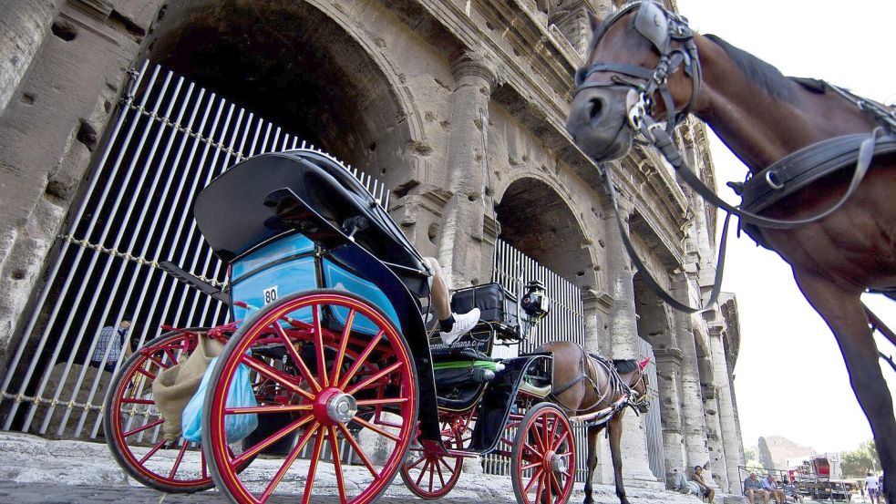 Ist es noch zeitgemäß, Kutschpferde durch eine aufgeheizte Stadt laufen zu lassen? (Archibild) Foto: Massimo Percossi