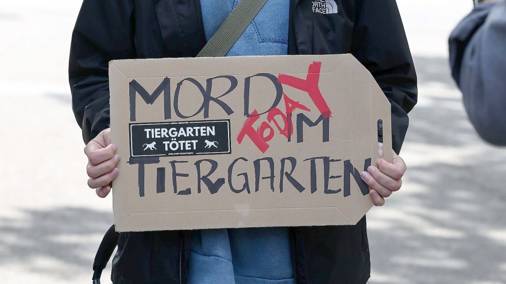 Aktivistinnen und Aktivisten versammelten sich am 29. Juli 2025 vor dem geschlossenen Tiergarten, um gegen die Tötung der Paviane zu demonstrieren. Einige drangen später in den Zoo ein. (Archivbild) Foto: Daniel Löb