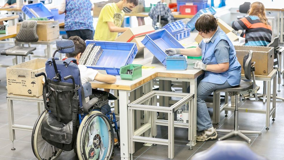 Die Zahl der schwerbehinderten Beschäftigten ist im Jahr 2024 in Deutschland erneut gestiegen (Archivbild). Foto: Jan Woitas