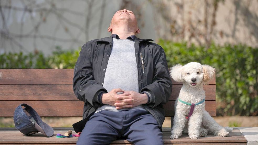 Haustiere werden in China immer beliebter, während die Geburtenrate auf einem Rekordtief steht. (Symbolbild) Foto: Andy Wong/AP/dpa