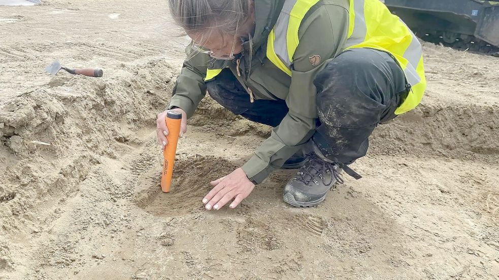 Nachdem zwei Sondengänger auf einem Acker einzelne Münzen entdeckt haben, untersuchen Archäologen großflächig das Feld. Foto: Museum of Cultural History / University of Oslo