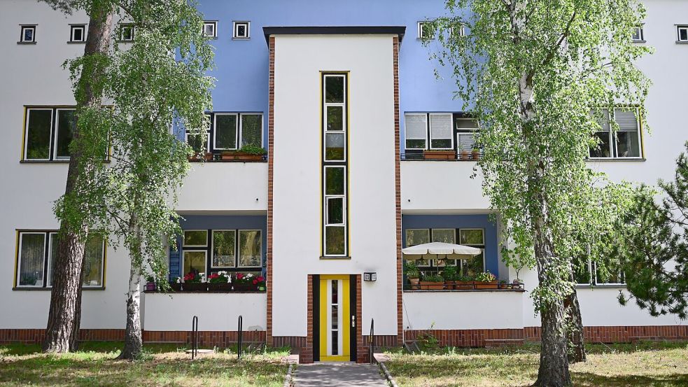 Die Waldsiedlung Zehlendorf galt während seiner Entstehung als revolutionär in Sachen sozialer Wohnbau. Foto: Sebastian Gollnow