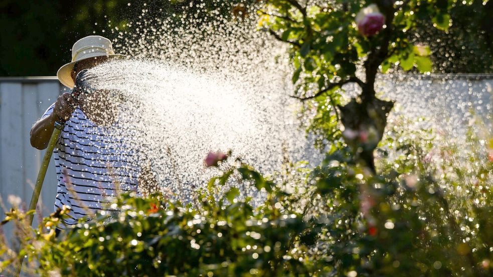 Viele Gärtner hoffen auf Regen. Foto: Julian Stratenschulte