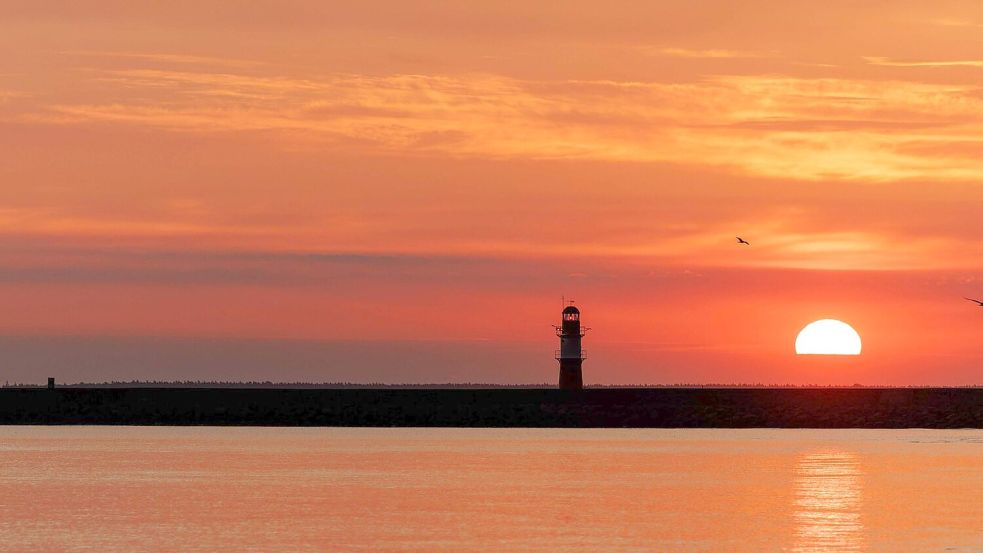 Die Sonne schien im Juli überdurchschnittlich oft. Foto: Jens Büttner