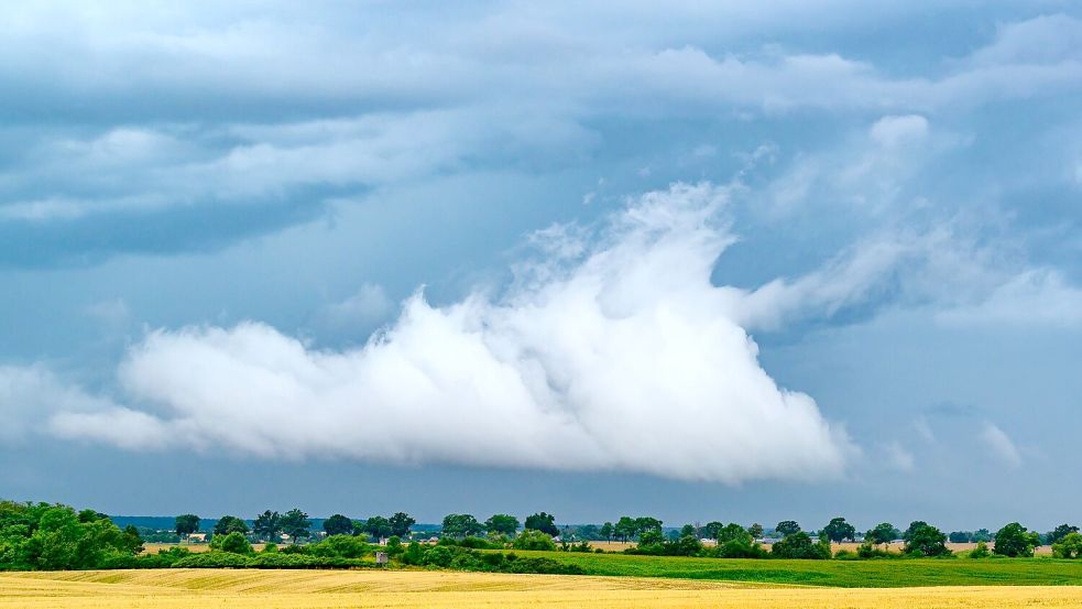 Der Deutsche Wetterdienst erwartet wieder Hitze - und auch Gewitter Foto: Patrick Pleul