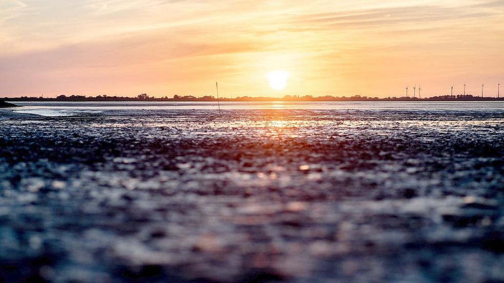 Auch am Dienstag sind noch Temperaturen bis 38 Grad möglich. Foto: Hauke-Christian Dittrich