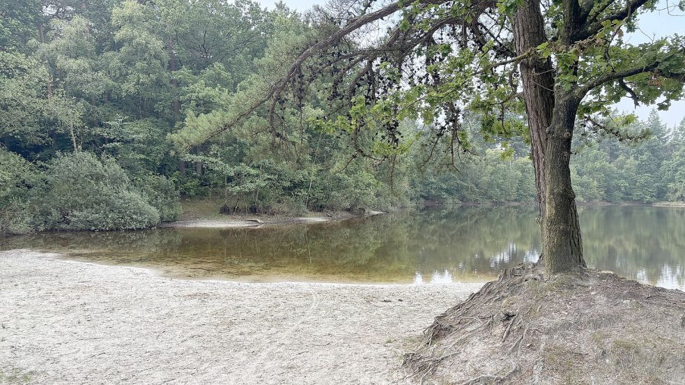Auf dem Gelände rund um den Silbersee verabreden sich augenscheinlich immer wieder Menschen zum Geschlechtsverkehr. Auf einer Seite im Internet werden regelmäßig Treffen angefragt. Foto: Lasse Paulsen