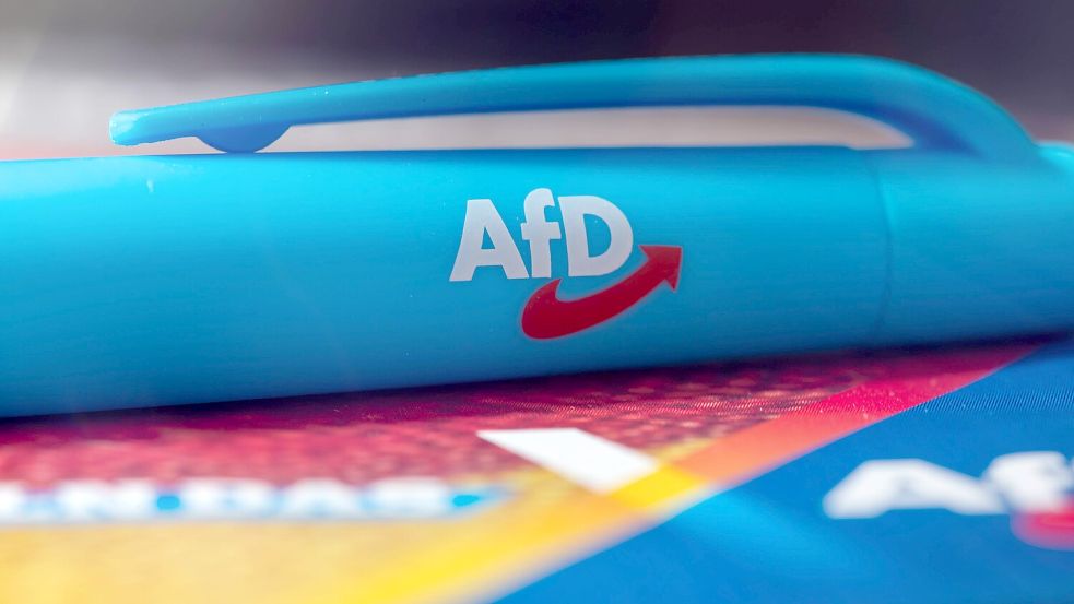 Die Diskussion über ein mögliches AfD-Verbotsverfahren wird schon seit Jahren geführt. Ein offener Brief von mehr als tausend Juristen befeuert die Debatte weiter. Foto: IMAGO/Udo Herrmann