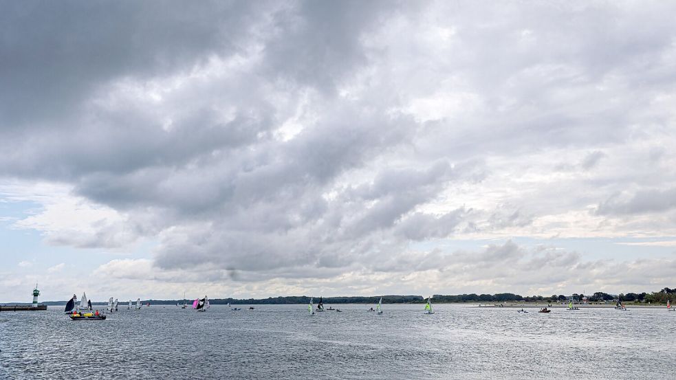 Es wird wieder heiß. Foto: Markus Scholz