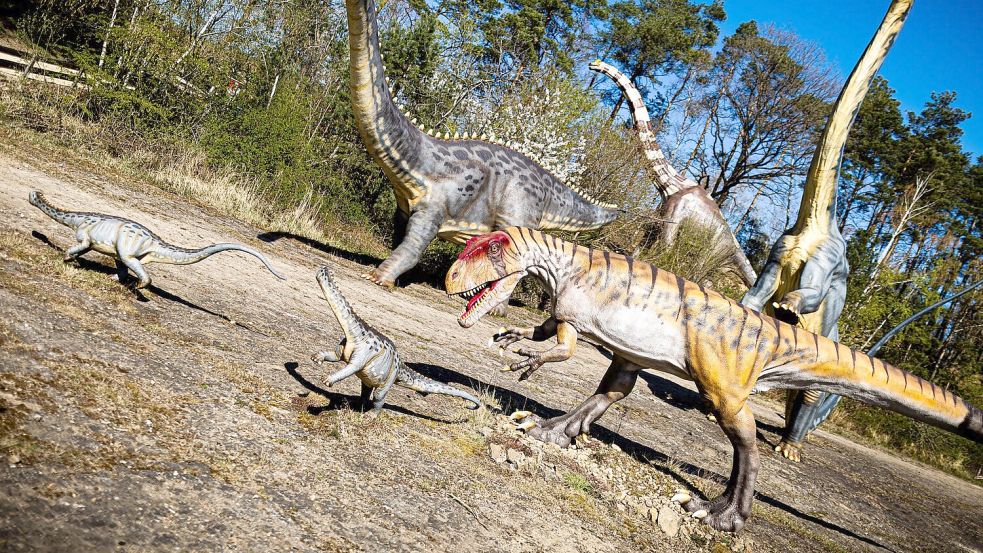 Dinosaurier konnten viele Tonnen schwer werden - aber offenbar nicht so klein, dass sie nur ein paar Gramm wogen. (Archivbild) Foto: Moritz Frankenberg