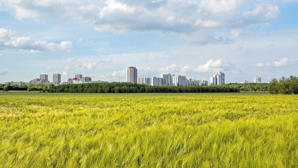 Dicht dran und doch so weit weg: In den großen Städten werden die Bedürfnisse der Landbevölkerung oft übergangen, sagt Autor Andreas Möller. Foto: Adobe Stock