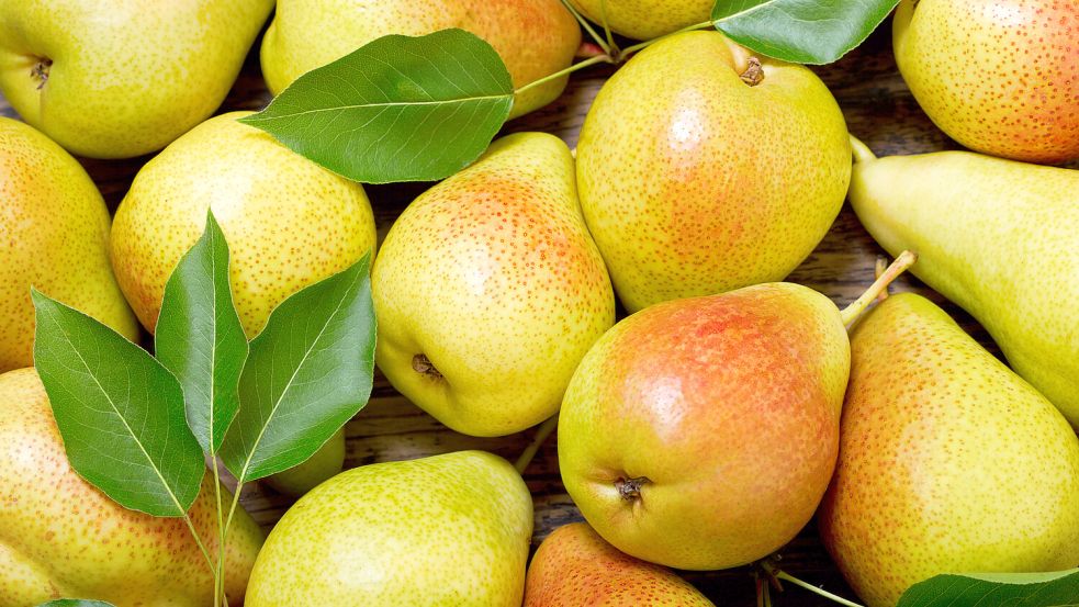 Da viele Nährstoffe direkt in oder unter der Schale sitzen, Birnen am besten mit Schale essen – nach gründlichem Waschen. Foto: Nitr/stock.adobe.com