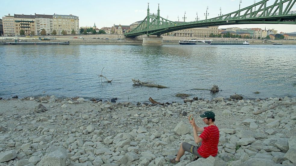 Unter der Freiheitsbrücke lässt sich’s nun im Trockenen sitzen. Foto: Bela Szandelszky
