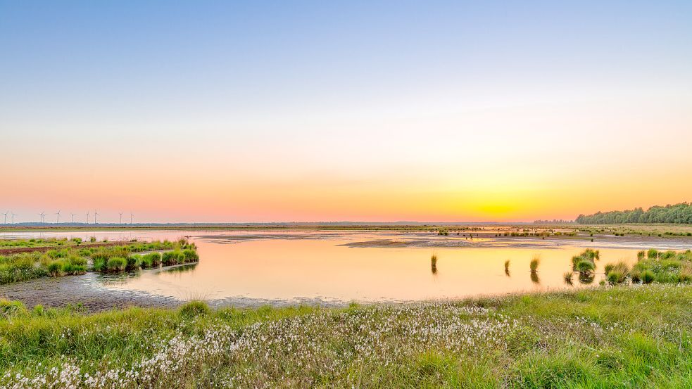 Einzigartig schön: Ostfrieslands Moor- und Fehnlandschaft. Foto: Dar1930 - stock.adobe.com