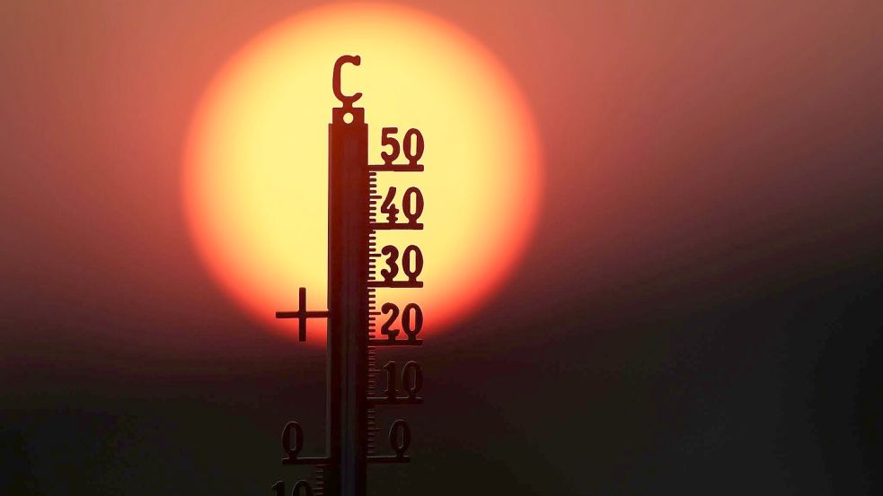 Bei der Hitzewelle Ende Juni registrierte der Deutsche Wetterdienst mehrfach Temperaturen von über 41 Grad (Archivbild). Foto: Thomas Warnack/dpa