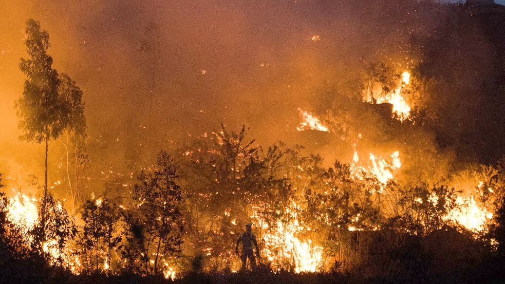 Die spanischen Behörden sind wegen der Waldbrandgefahr durch zehntausende Touristen in ländlichen Gebieten während der Sonnenfinsternis am kommenden Mittwoch in höchster Alarmbereitschaft. Foto: Elena Fernández/EUROPA PRESS/dp