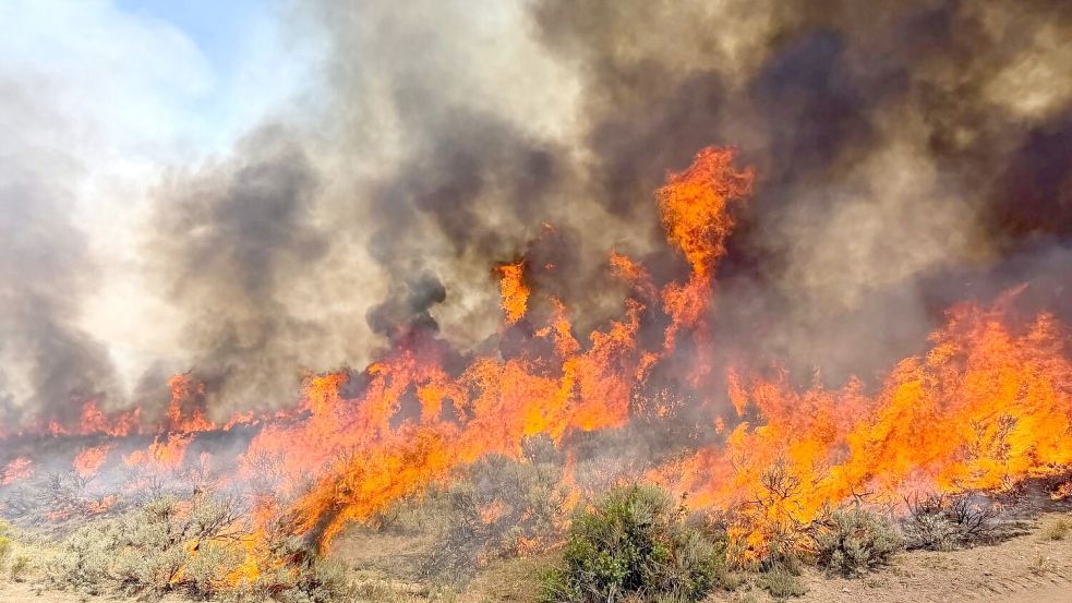 Derzeit brennt es vielerorts in Utah (Handout). Foto: Uncredited/U.S. Forest Service/F