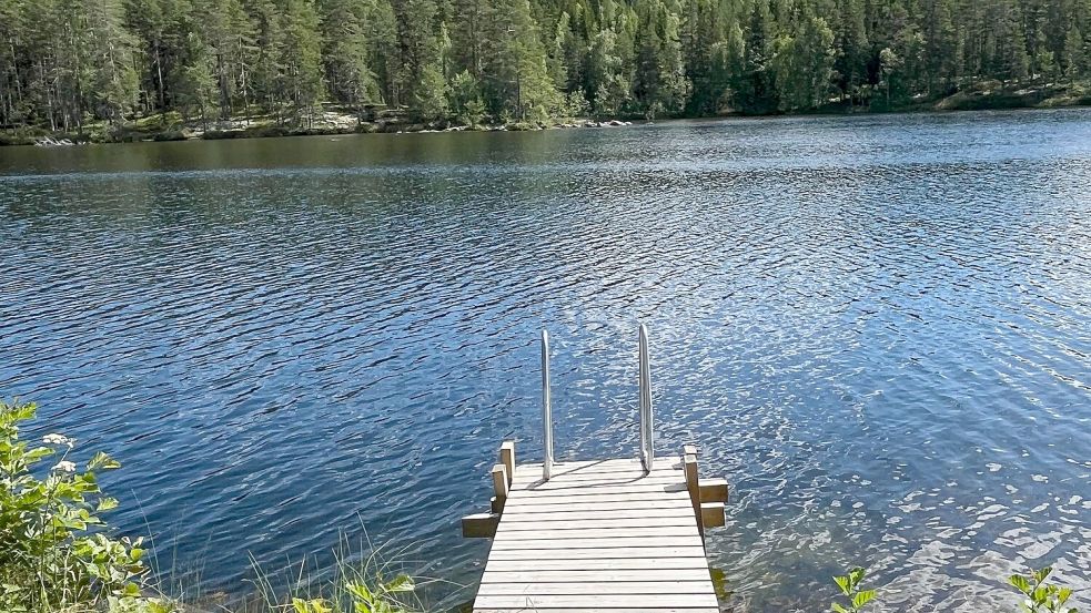 Wald in Finnland: Weiter weg vom deutschen Nachrichtengeschehen kann man kaum sein. Dachte ich.... Foto: Rena Lehmann