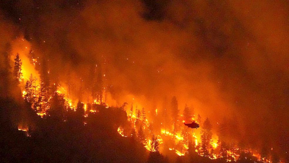 Wegen schwerer, sich rasant ausbreitender Waldbrände hat die westkanadische Provinz British Columbia den Notstand ausgerufen. Foto: Darryl Dyck