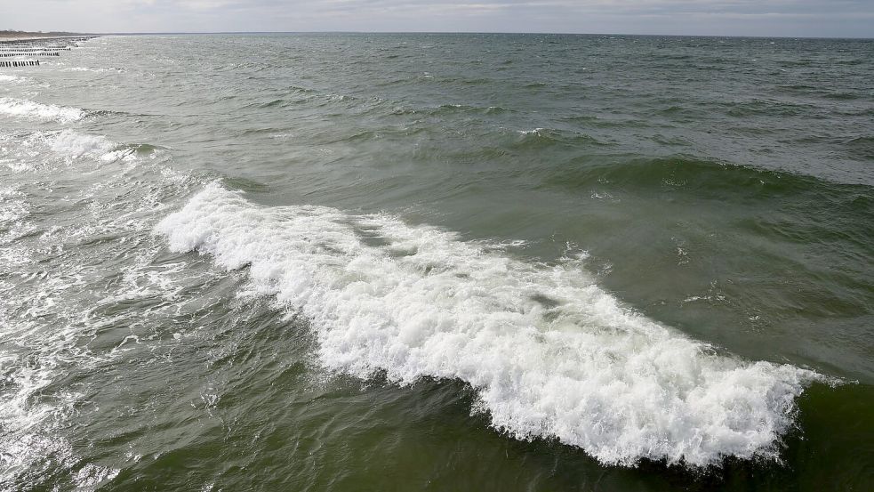 In der Ostsee vor dem polnischen Seebad Miedzyzdroje wurde ein Wal gesichtet. (Archivbild) Foto: Bernd Wüstneck
