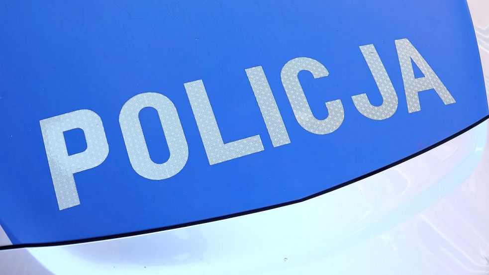 Die Behörden in Polen warnen vor einer freilaufenden Raubkatze. (Symbolbild) Foto: Friedemann Kohler/dpa