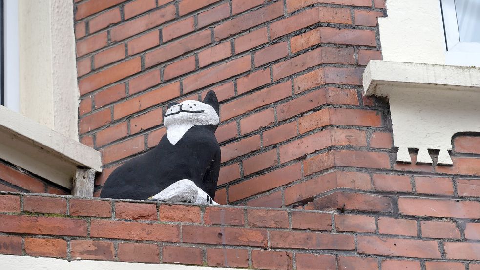 Diese „Hausbesetzer“ zieren das Auricher Stadtbild. Aber wo kommen sie eigentlich her? Foto: Klaus Ortgies