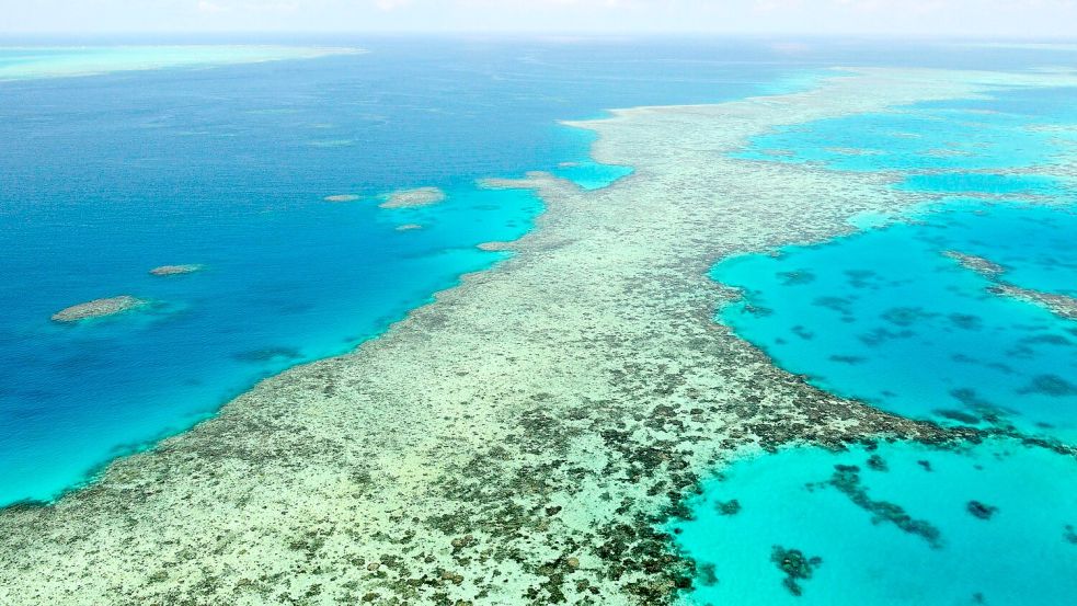 Das Great Barrier Reef gilt als eines der größten Naturwunder der Erde. (Archivbild) Foto: Uncredited/Kyodo News via AP/dpa