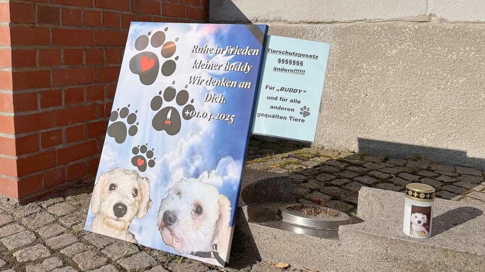 Der Fall hat in Flensburg und in den sozialen Medien für viel Anteilnahme und Betroffenheit gesorgt. Foto: Birgitta von Gyldenfeldt