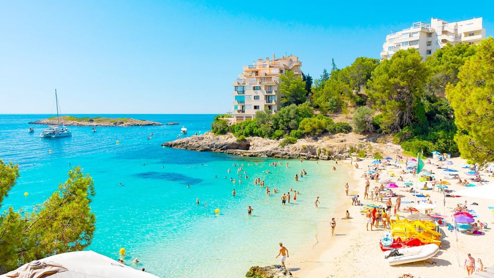 Zuletzt kam es im Südwesten der Insel an der Playa von Illetes zu einem Zwischenfall mit beißenden Fischen. Foto: IMAGO/Vicente Sargues