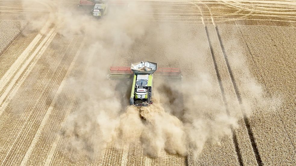 Die Dürre schlägt nach Brancheneinschätzung auf die Ernte 2026 durch. (Archivbild) Foto: Peter Gercke