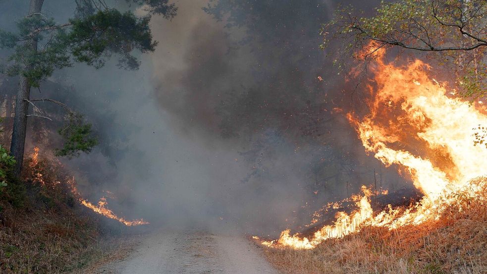 Flammen an einem Waldweg in unmittelbarer Nähe zum Ort Hürtgenwald. Foto: Jan Ohmen