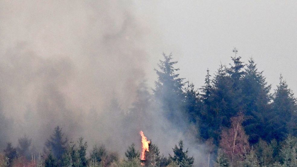 Bei dem großen Waldbrand nahe Hürtgenwald im nordrhein-westfälischen Kreis Düren hat sich die Lage in der Nacht zugespitzt. Foto: Federico Gambarini/dpa