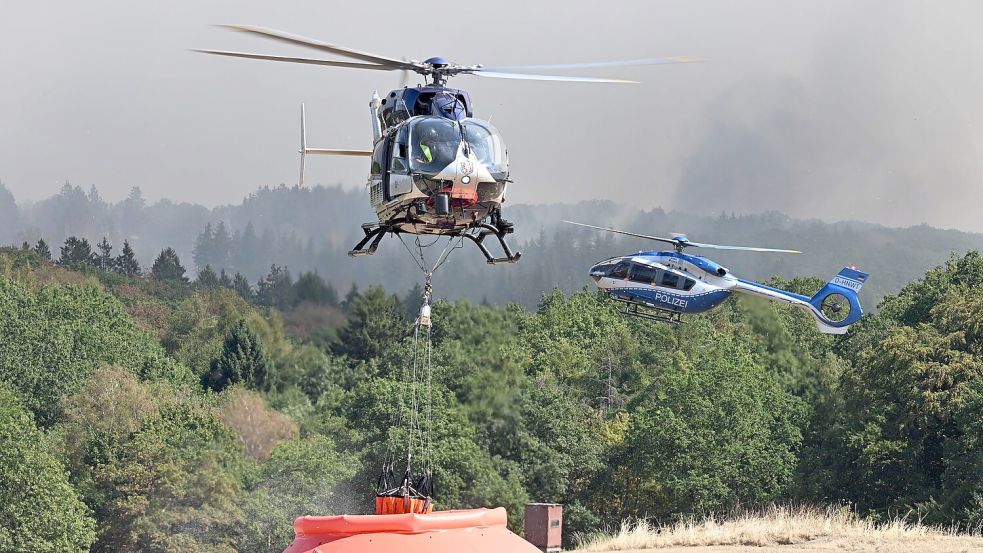 Noch immer lodern die Flammen im Hürtgenwald. Foto: Federico Gambarini