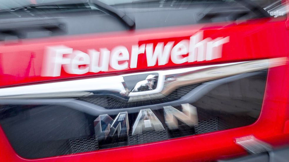 Wieder brennt es im Wald in Rheinland-Pfalz, die Feuerwehr rückt zu einem Großeinsatz aus. (Symbolbild) Foto: Jens Büttner