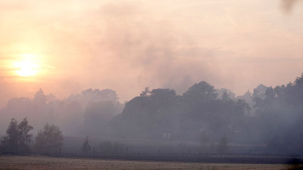 Die Einsatzkräfte bekämpften die Flammen in verschiedenen Gebieten gleichzeitig. Foto: Jacob King